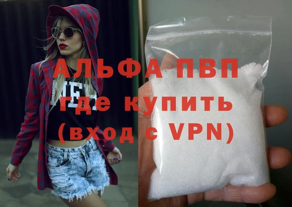 шишки Заволжск