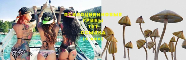 хмурый Заводоуковск