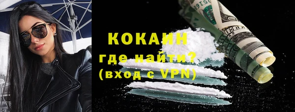 шишки Заволжск