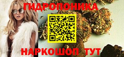 наркотики Камышлов