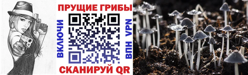 Галлюциногенные грибы прущие грибы  Спасск-Дальний 