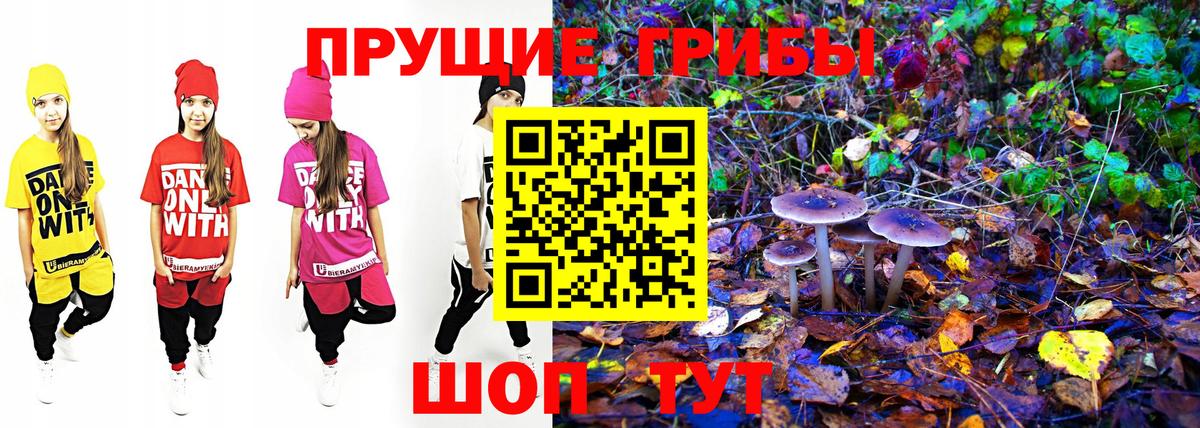 Галлюциногенные грибы ЛСД  магазин продажи   Спасск-Дальний  Псилоцибиновые грибы Psilocybe 