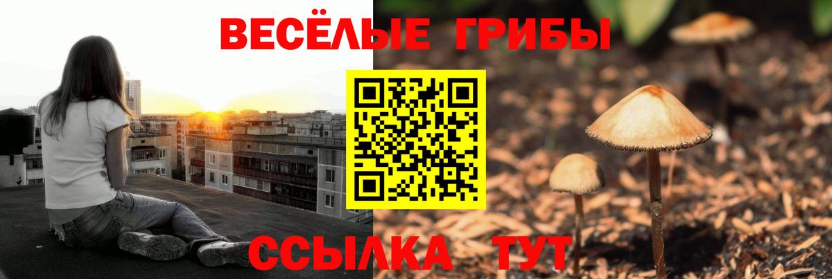 Галлюциногенные грибы мухоморы  Вход с VPN  Галлюциногенные грибы ЛСД  Спасск-Дальний 